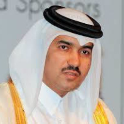 Mohamed Abou - Almakazy pjsc - Abu Dhabi
