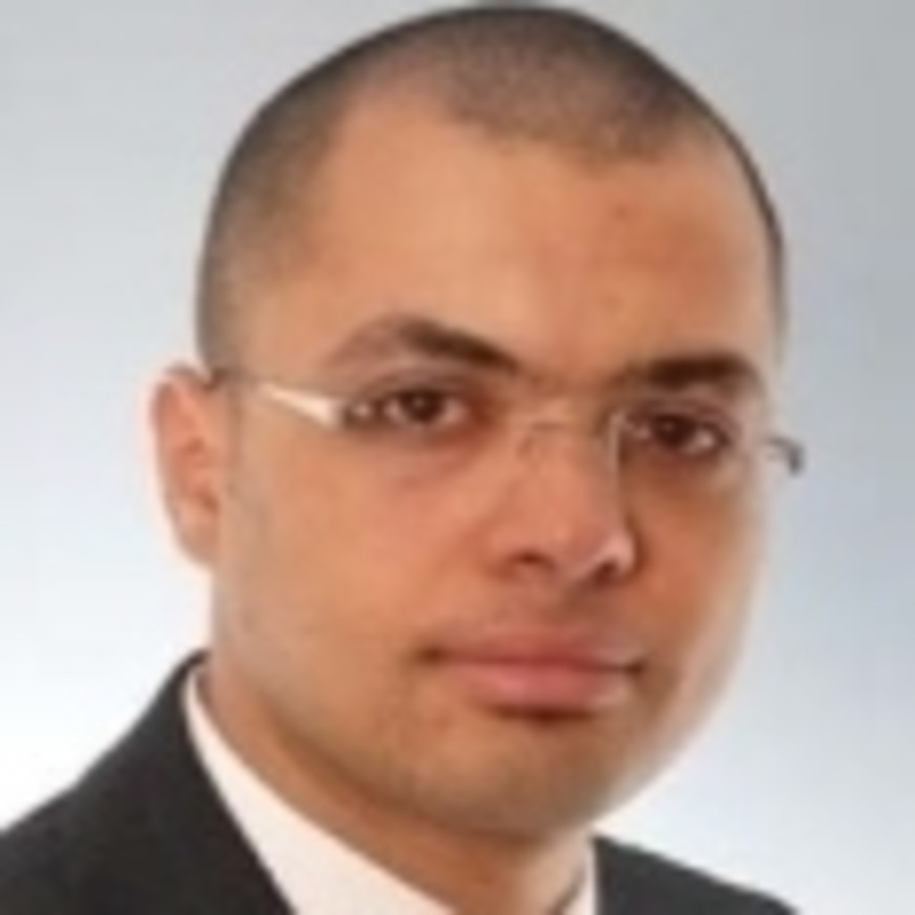 Mohsen Elsayed - Leiter Kundencenter/Abteilungsleiter - AVL Software and ...