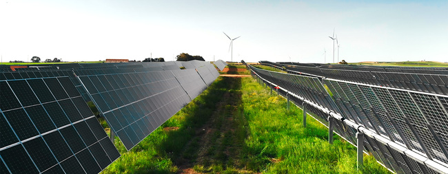 Innovation, Sonnenstrom und viele Oliven: Neuer Agri-Solarpark in Sizilien | ENGIE Deutschland