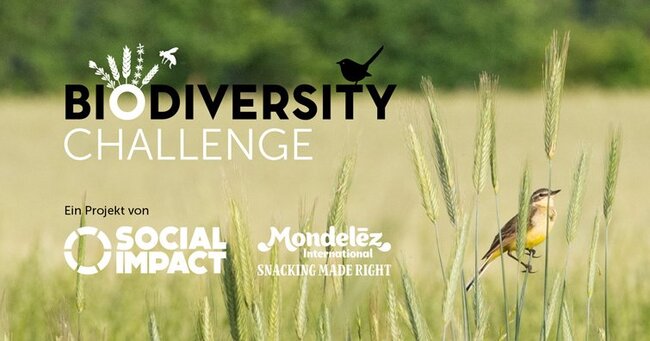 Biodiversity Challenge