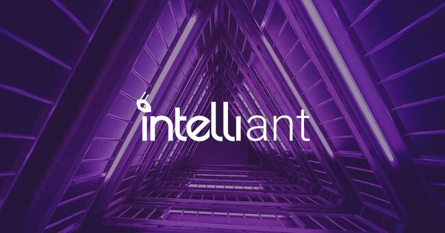 Intelliant GmbH || Cyber Resilience & Security Compliance || Consulting