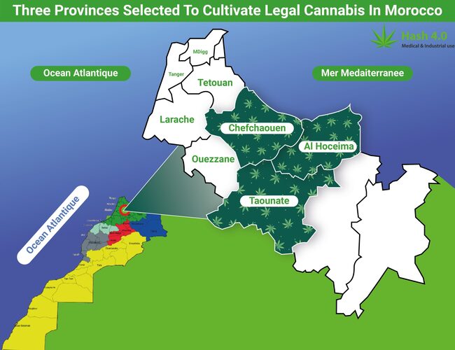 Three Provinces Selected To Cultivate Legal Cannabis In Morocco - Hash 4.0