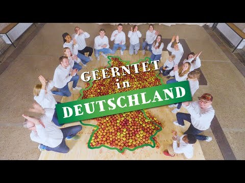 Tag des Deutschen Apfels – Geerntet in Deutschland – Deutschland – Mein Garten.