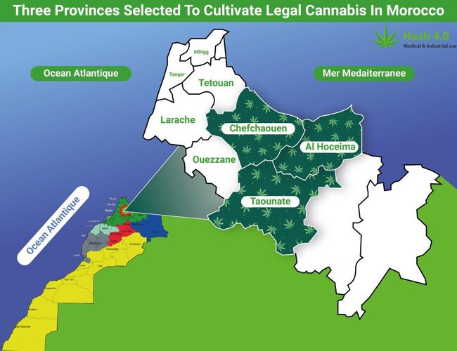 Three Provinces Selected To Cultivate Legal Cannabis In Morocco Hash 4.0 Chemia Technology SARL