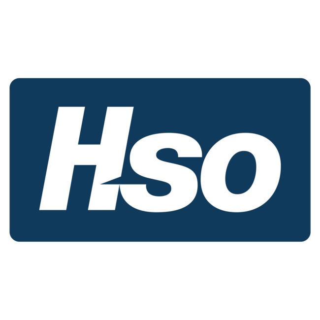 Senior Project Manager (m/w/d) Microsoft Dynamics 365 - bundesweit - HSO
