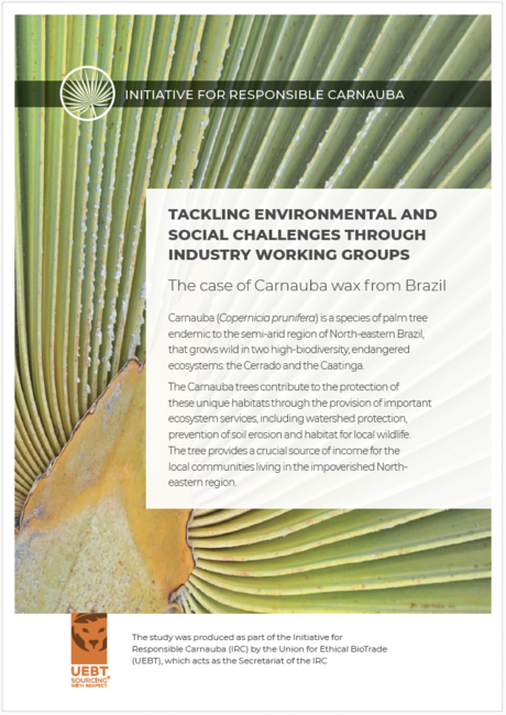 Tackling environmental and social challenges through industry working groups - Initiative for Responsible Carnauba — The Union for Ethical BioTrade