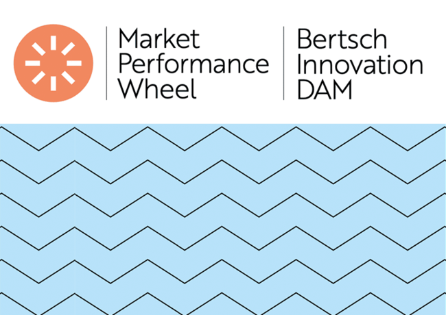 DAM Market Performance Wheel