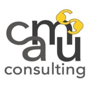 camü consulting