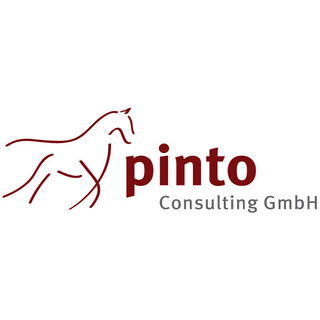 Pinto Consulting