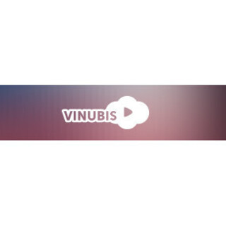 VINUBIS GmbH