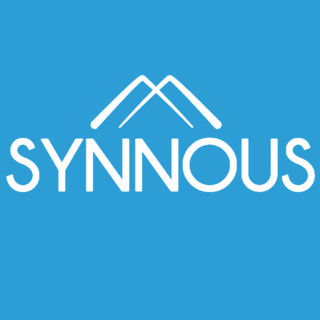 Synnous Consulting GmbH