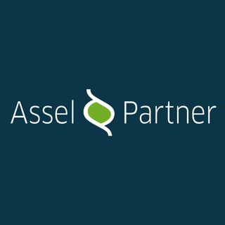 Wirtschaftsberatungs- & Steuerberatungsgesellschaft Assel & Partner