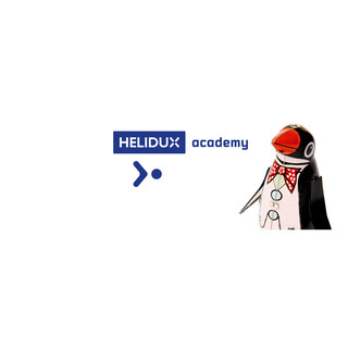 Helidux AG