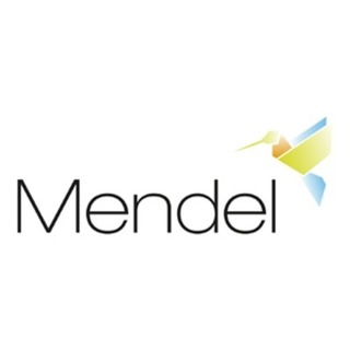 Mendel Verlag GmbH & Co. KG