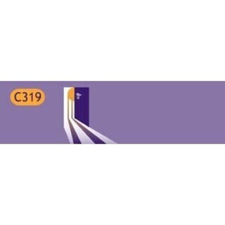 C 319 IT Services GmbH