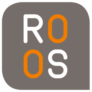 ROOS IT GmbH & Co. KG