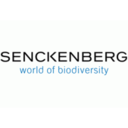 Senckenberg Gesellschaft für Naturforschung