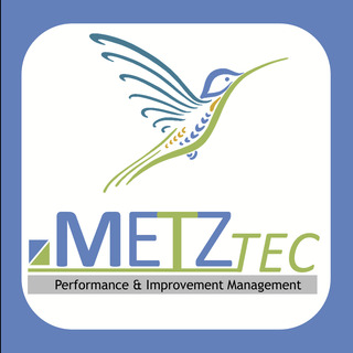 METZTEC Performance & Improvement Management