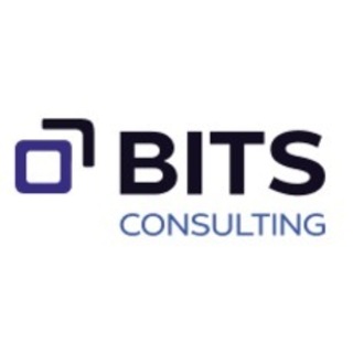BITS Consulting GmbH