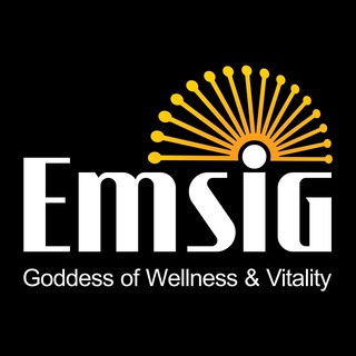 EmsiG GmbH