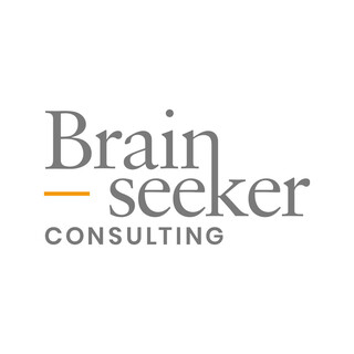Brainseeker CONSULTING