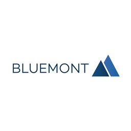 Bluemont Consulting GmbH