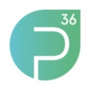 p36 GmbH