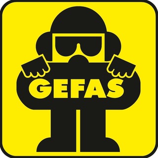 GEFAS Safety GmbH