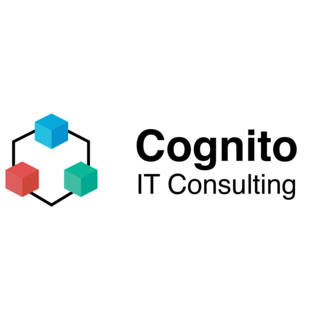 Cognito IT Consulting