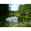2006 bernau teich vor schloss boernicke
