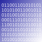 IT-Projektmanagement