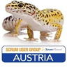 Scrum User Group Austria