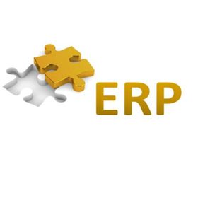 ERP-Netzwerk