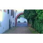 Der Rheingau - Unsere Region