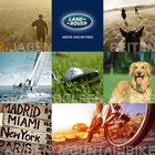 Land Rover live