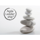 Agile Leadership 3.0