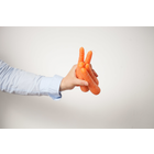 Intrinsische Motivation - Expertengruppe für moderne Motivationspsychologie