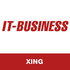 IT-BUSINESS