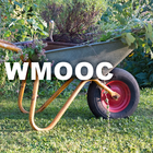 wmooc