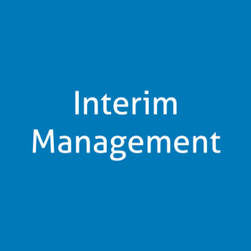 Interim Management | Interim Project Management