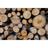Holz- und Möbelindustrie