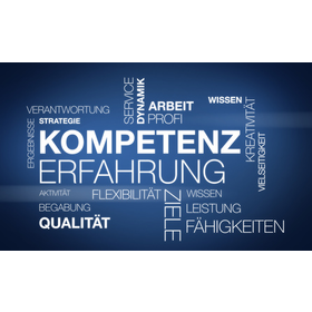 Karriere für Ingenieure - Einstieg - Aufstieg - Weiterentwicklung