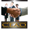 Caribbean Entrepreneurs Association Online (CEAO)