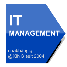 IT Management (knowledge, networking and leading IT)