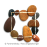 systemische Peergroup