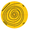 Agile Leadership Circle