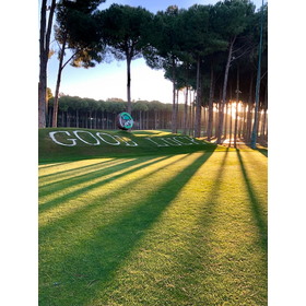 Golfportal