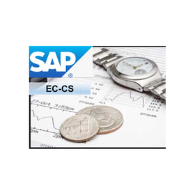 Sap kennenlernen