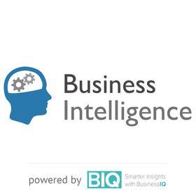 Business Intelligence Network