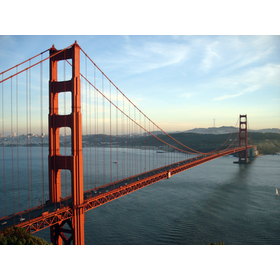 Offshore Outsourcing